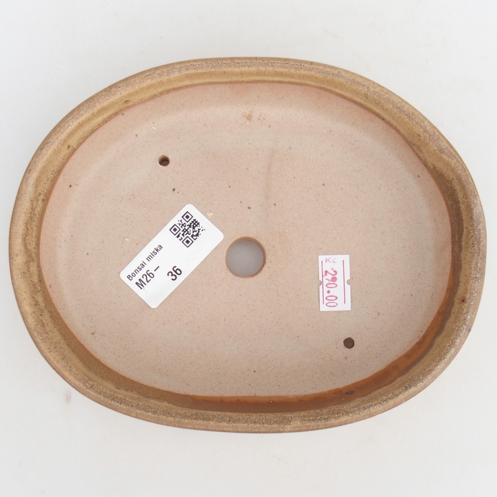 Ceramic bonsai bowl 17 x 14 x 4 cm, colour beige