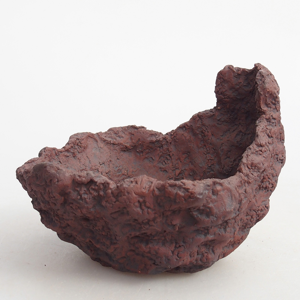 Ceramic Shell 10 x 8 x 8,5 cm , colour brown