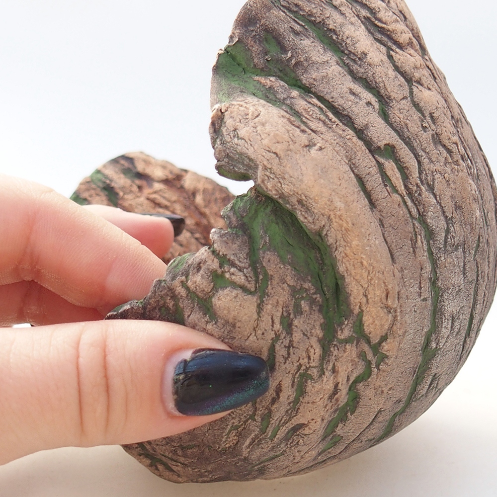 Ceramic shell 12 x 9,5 x 11 cm , colour green