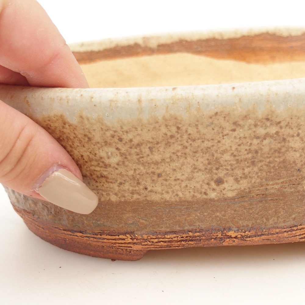 Bonsai bowl 20 x 16 x 6,5 cm , colour beige