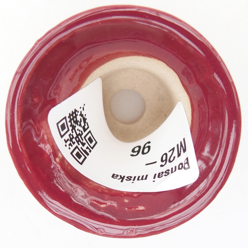 Mini bonsai bowl 4,5 x 4,5 x 4 cm, colour burgundy