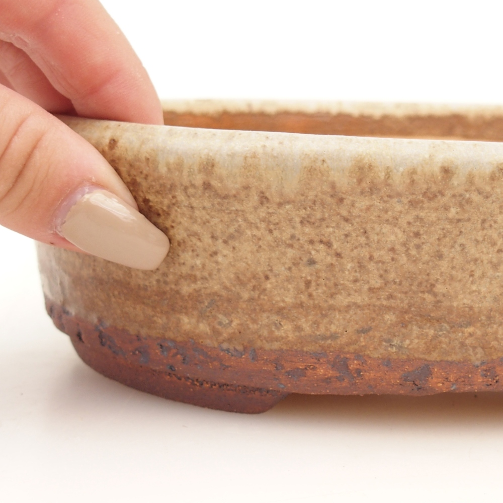 Bonsai bowl 19 x 15,5 x 5,5 cm , colour beige