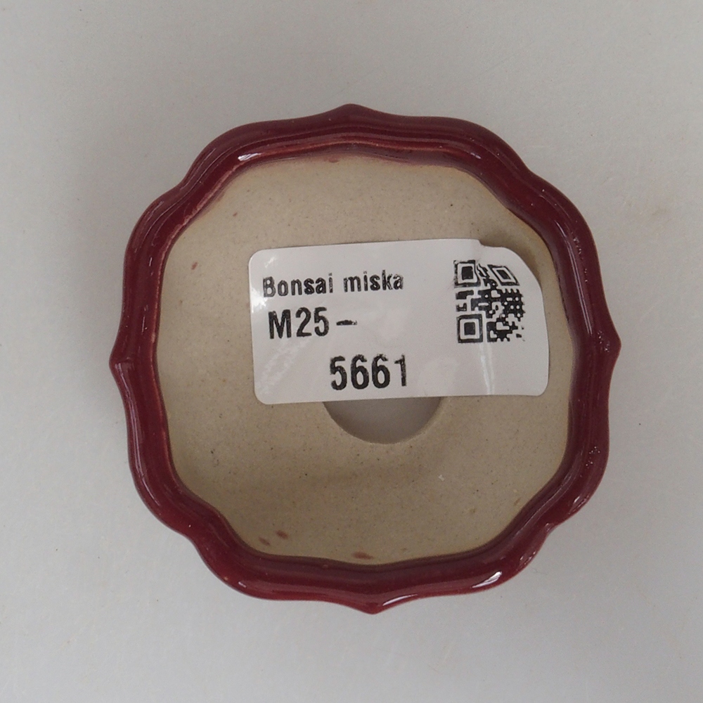 Mini bonsai bowl 5,5 x 5,5 x 2,5 cm, color burgundy