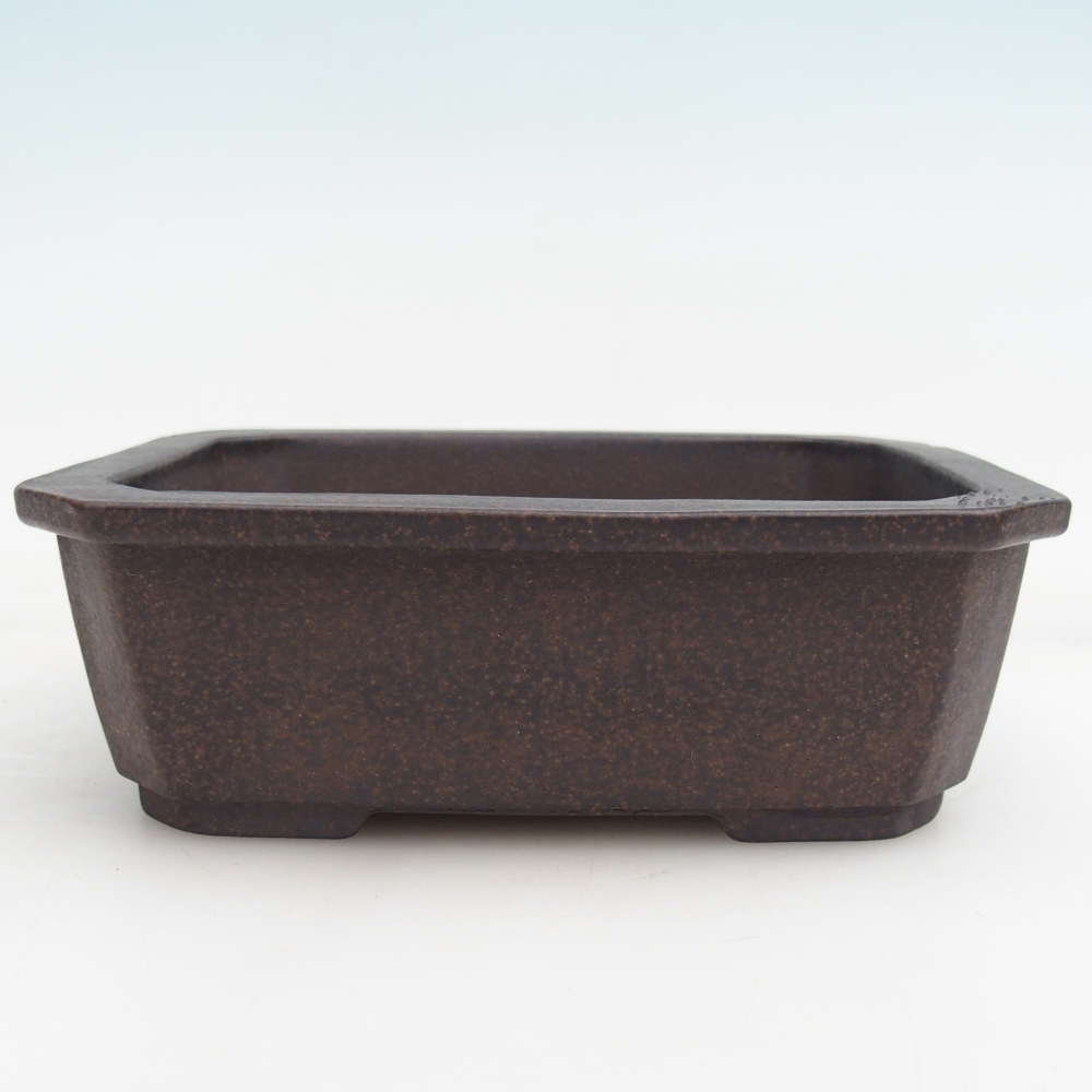 Ceramic bonsai bowl 15 x 11 x 5 cm, brownish ochre