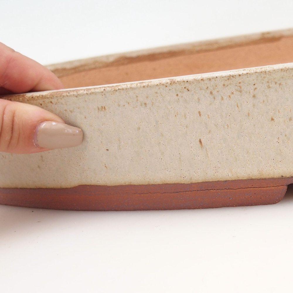 Bonsai bowl 48 x 31 x 5 cm , colour beige - PERSONAL COLLECTION OR PALLET TRANSPORT ONLY