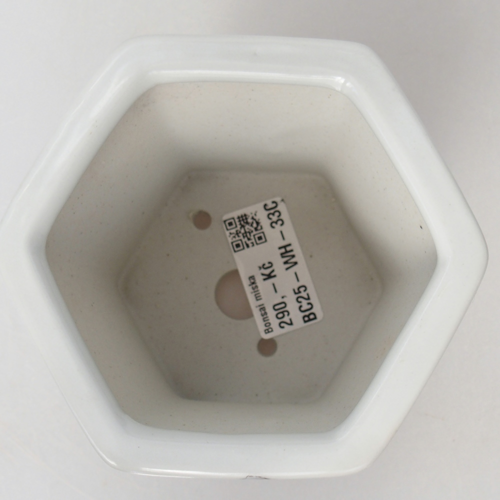 Ceramic bonsai bowl 10,5 x 9,5 x 9 cm, colour white