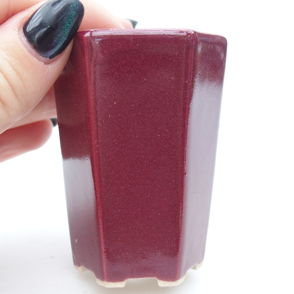 Mini bonsai bowl 5 x 4,5 x 6,5 cm, burgundy