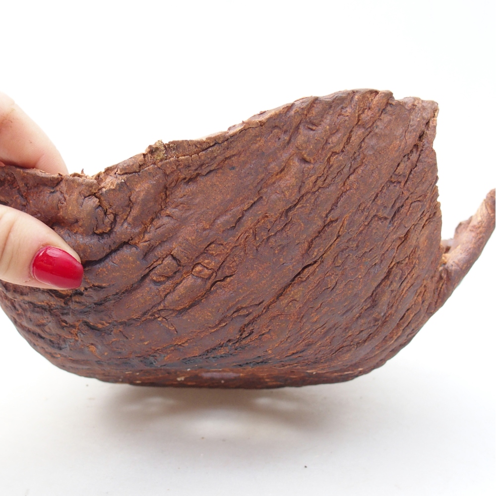 Ceramic Shell 20 x 20 x 8 cm , colour brown