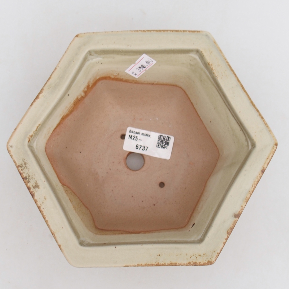 Ceramic bonsai bowl 18,5 x 16,5 x 9 cm, green