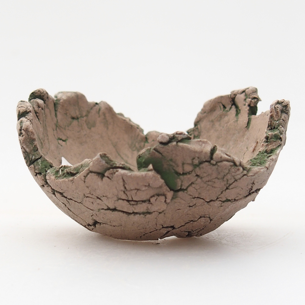 Ceramic Shell 7 x 7 x 4 cm , colour green
