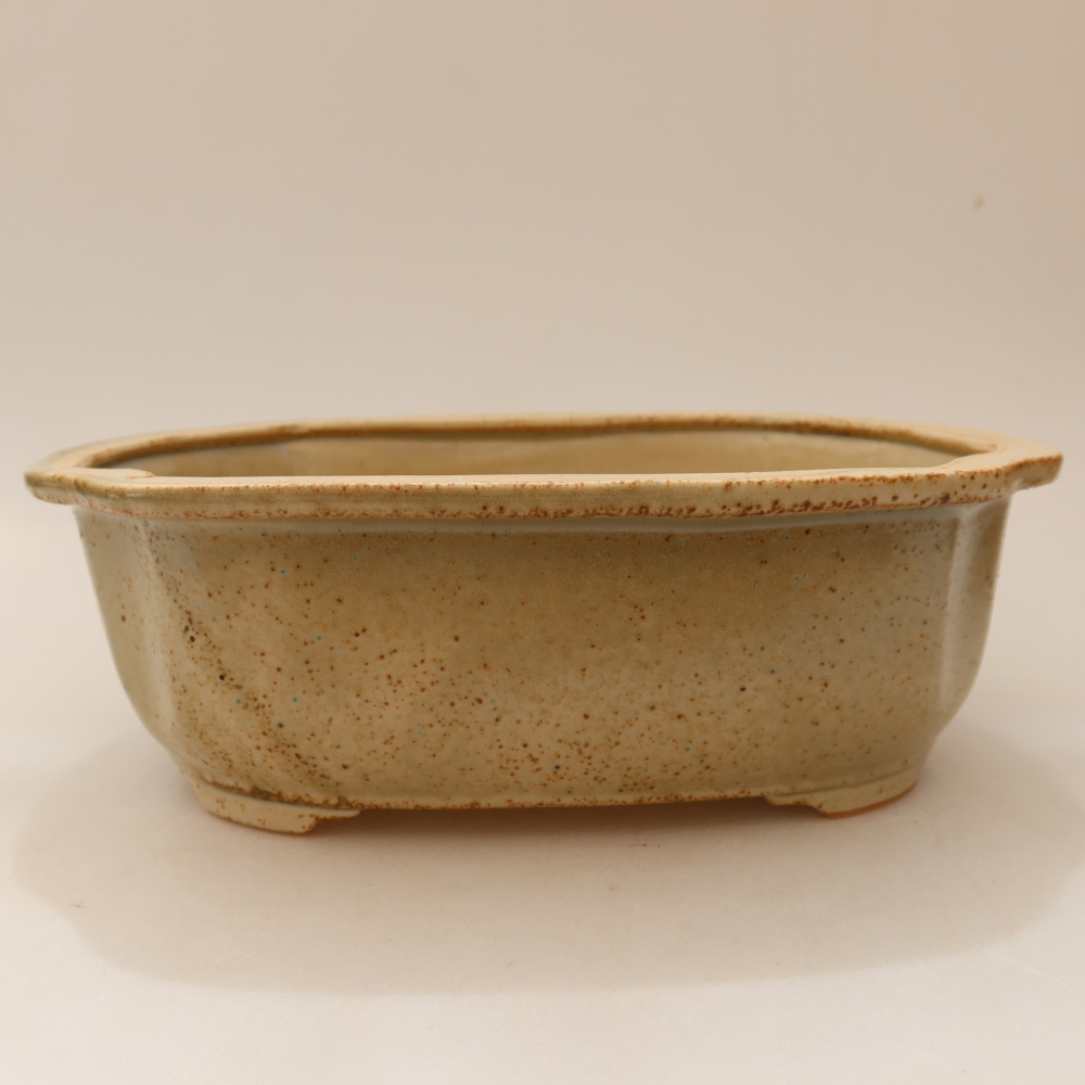 Ceramic bonsai pot, 22.5 x 17.5 x 7.5 cm, beige