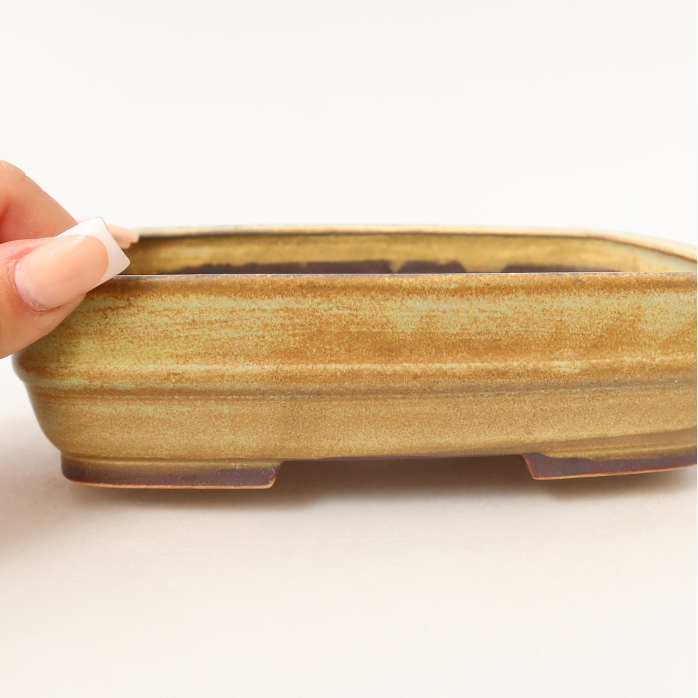 Ceramic bonsai pot, 17.5 x 13.5 x 4.5 cm, green