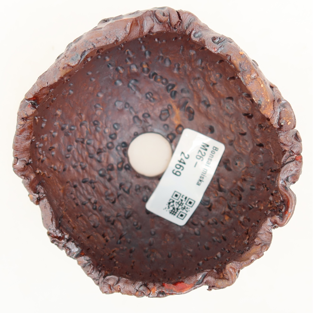 Ceramic Shell, 9.5 x 8.5 x 8 cm, metallic color