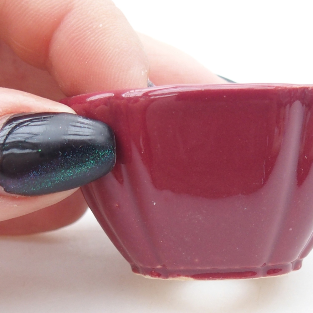 Mini bonsai bowl 4,5 x 4,5 x 2,5 cm, burgundy