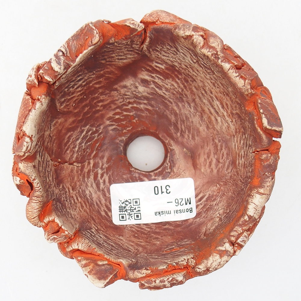 Ceramic Shell 11 x 11 x 6,5 cm , colour orange