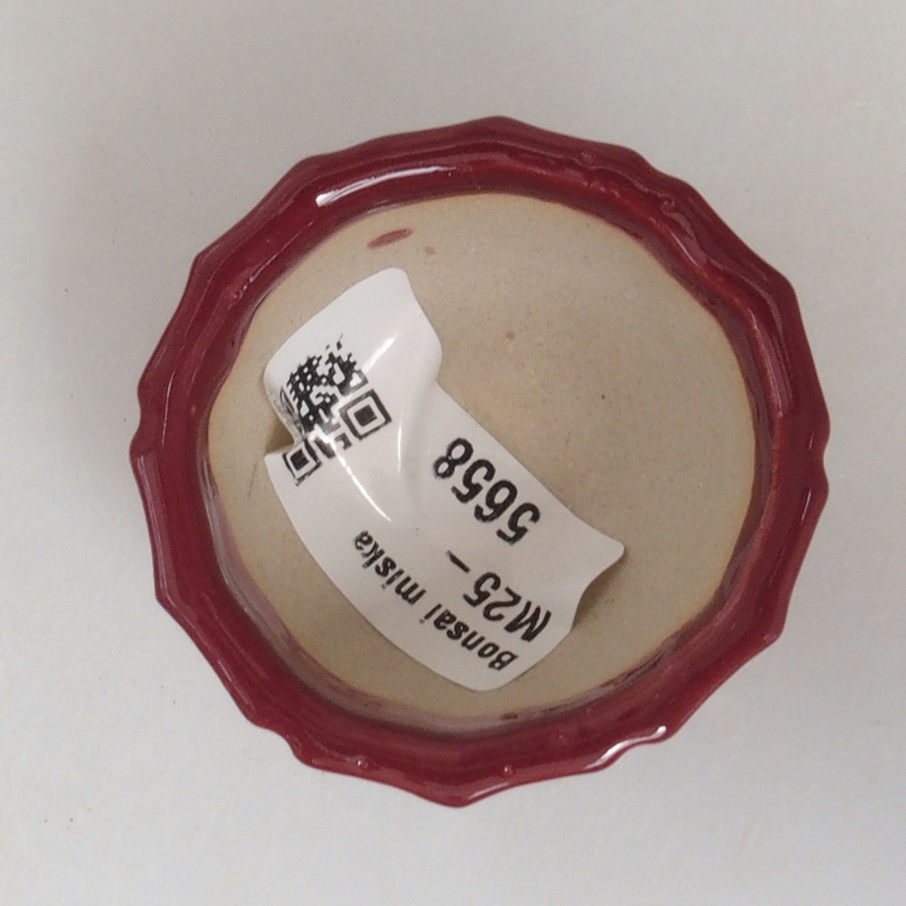 Mini bonsai bowl 5 x 5 x 3 cm, color burgundy
