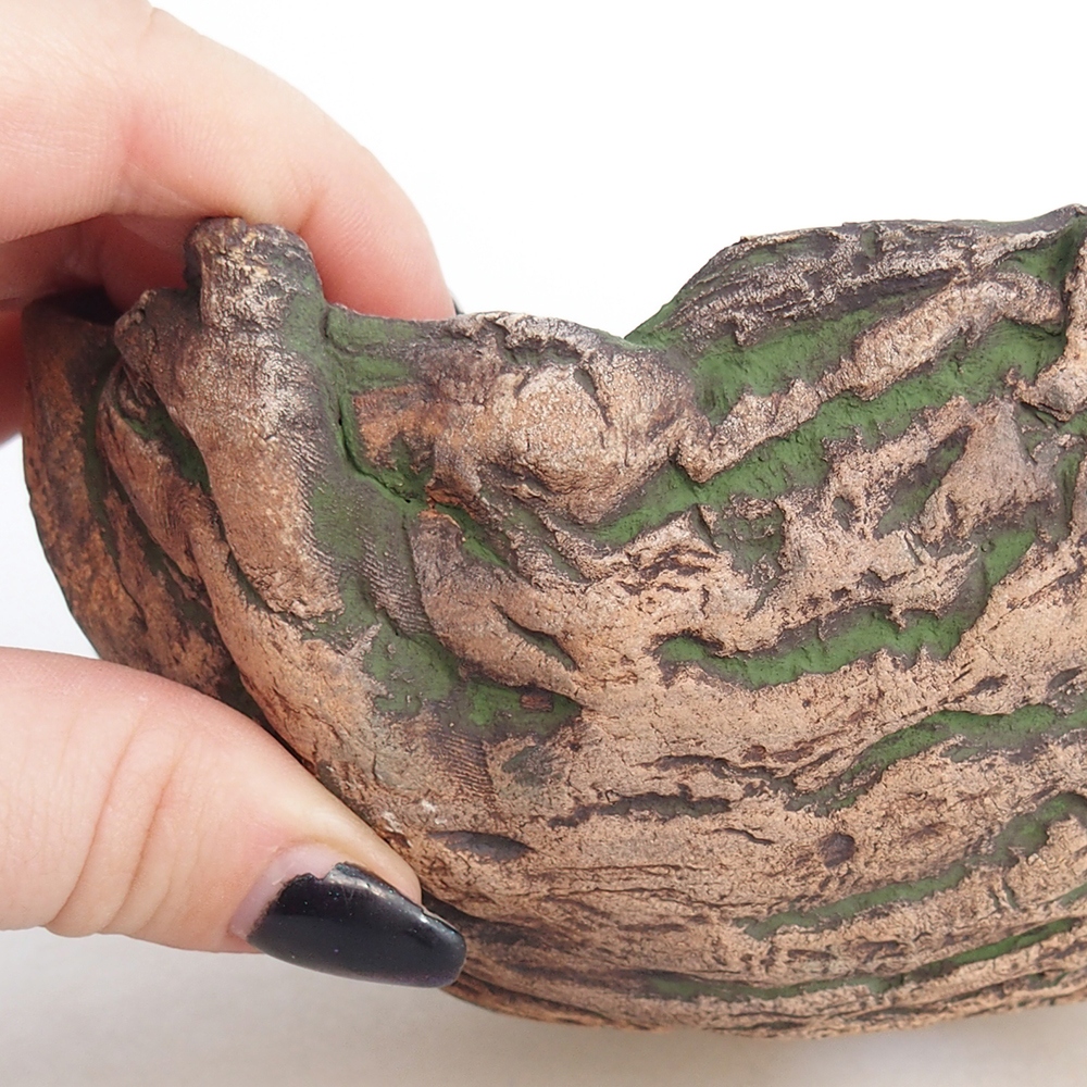 Ceramic Shell 15 x 14 x 7 cm , colour green