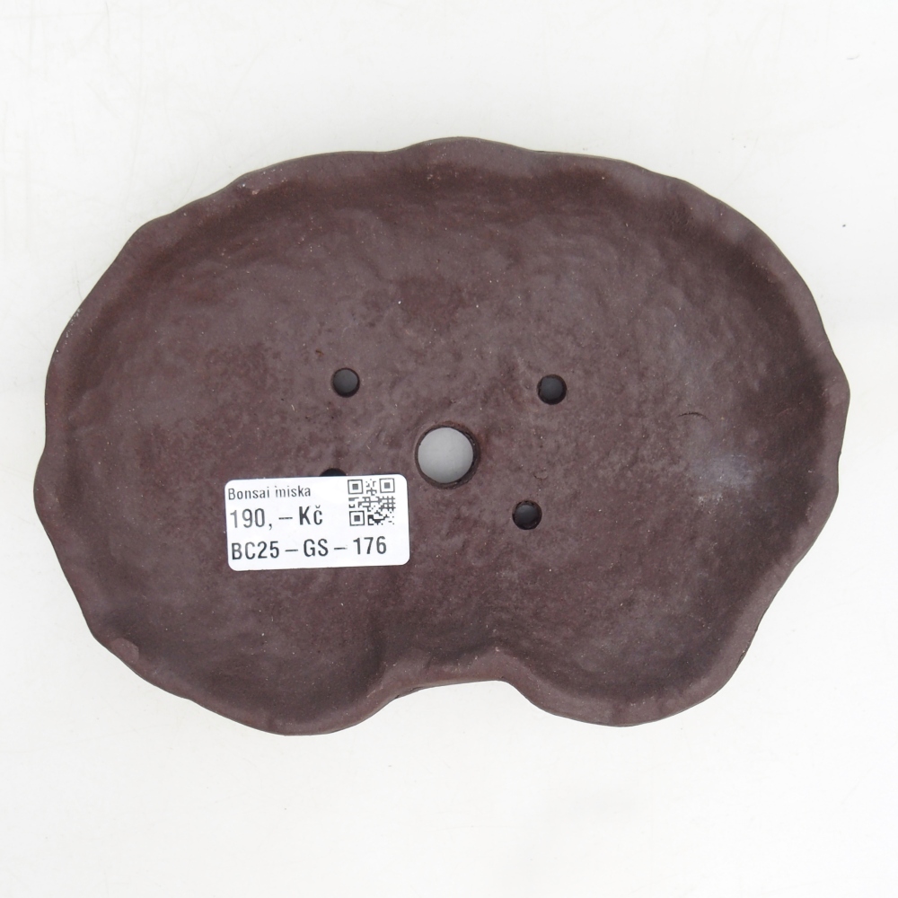 Ceramic Shell 17 x 12 x 3 cm , colour brown