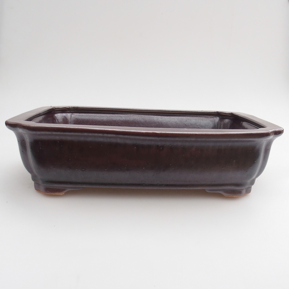 Ceramic bonsai bowl 27 x 21 x 7 cm, colour black red