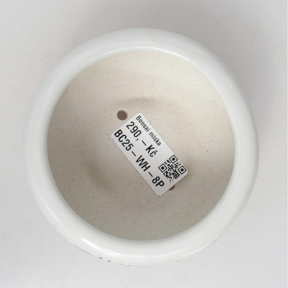 Ceramic bonsai bowl 10 x 10 x 5 cm, colour white