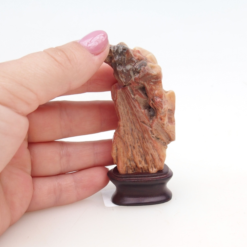Suiseki - Stone with DAI (wooden pad)