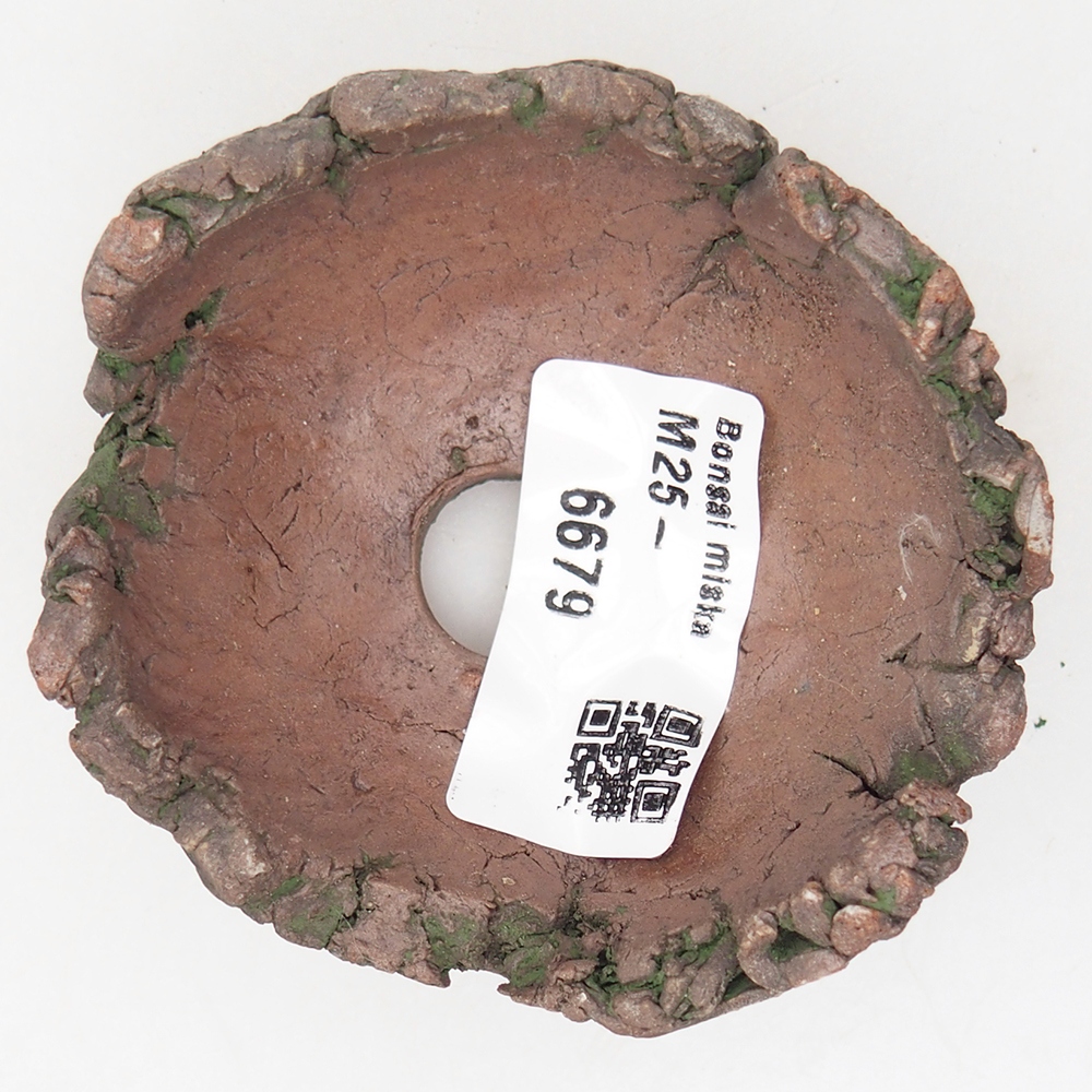 Ceramic Shell 7 x 6,5 x 4 cm , colour green
