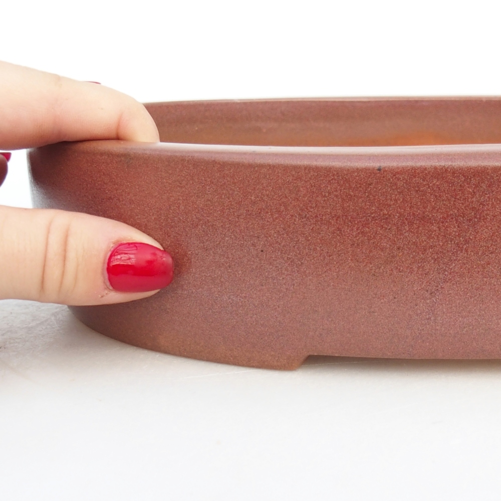 Ceramic bonsai bowl 27 x 21 x 5 cm, burgundy