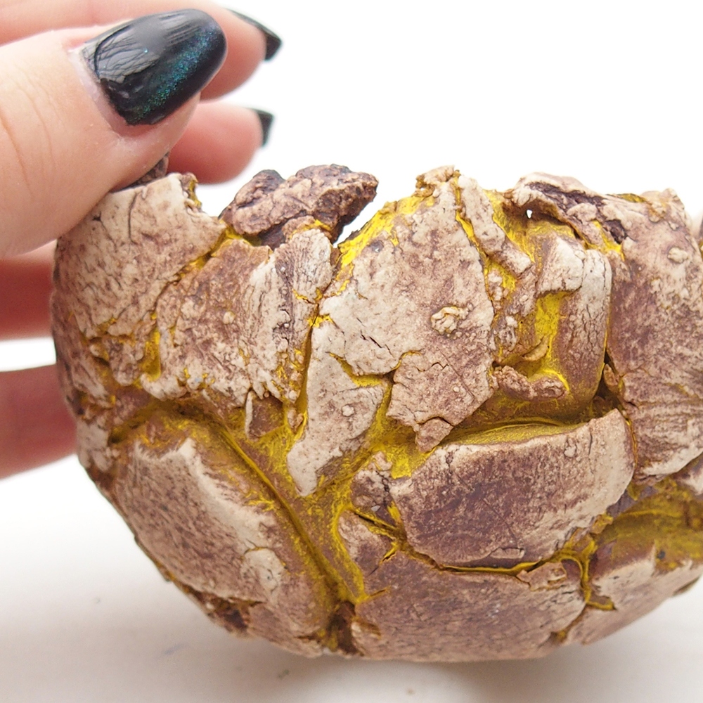 Ceramic Shell 9,5 x 9 x 7 cm , colour yellow