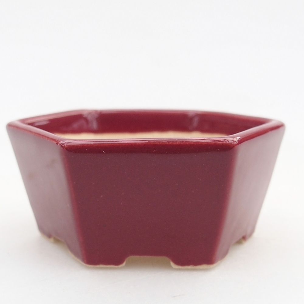 Mini bonsai bowl 6 x 5,5 x 2,5 cm, burgundy