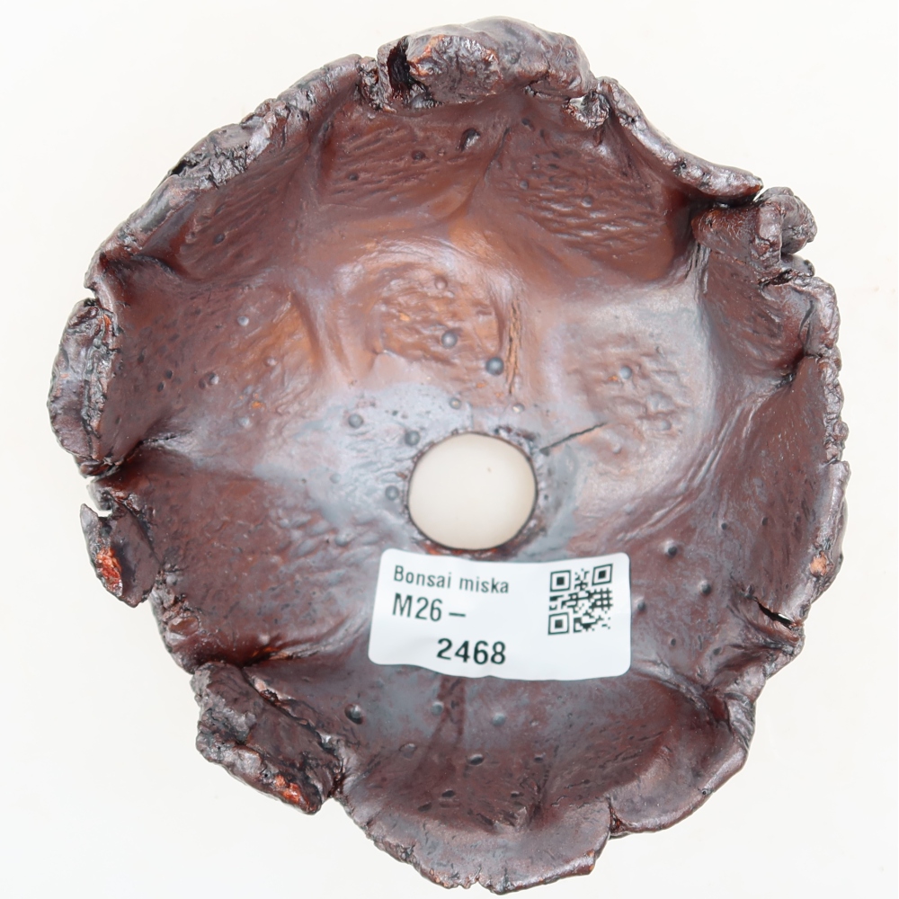 Ceramic Shell  11 x 10.5 x 7 cm, metallic color
