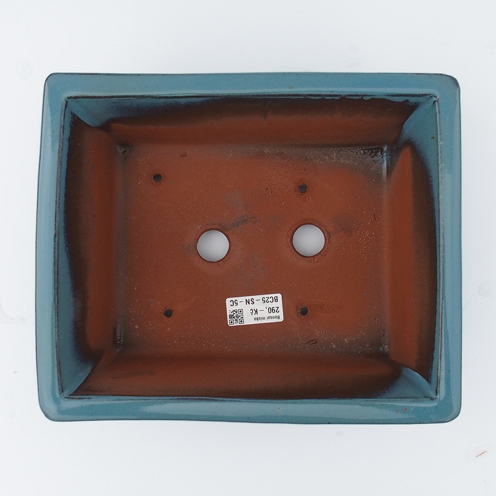 Bowl 26 x 21,5 x 10 cm blue