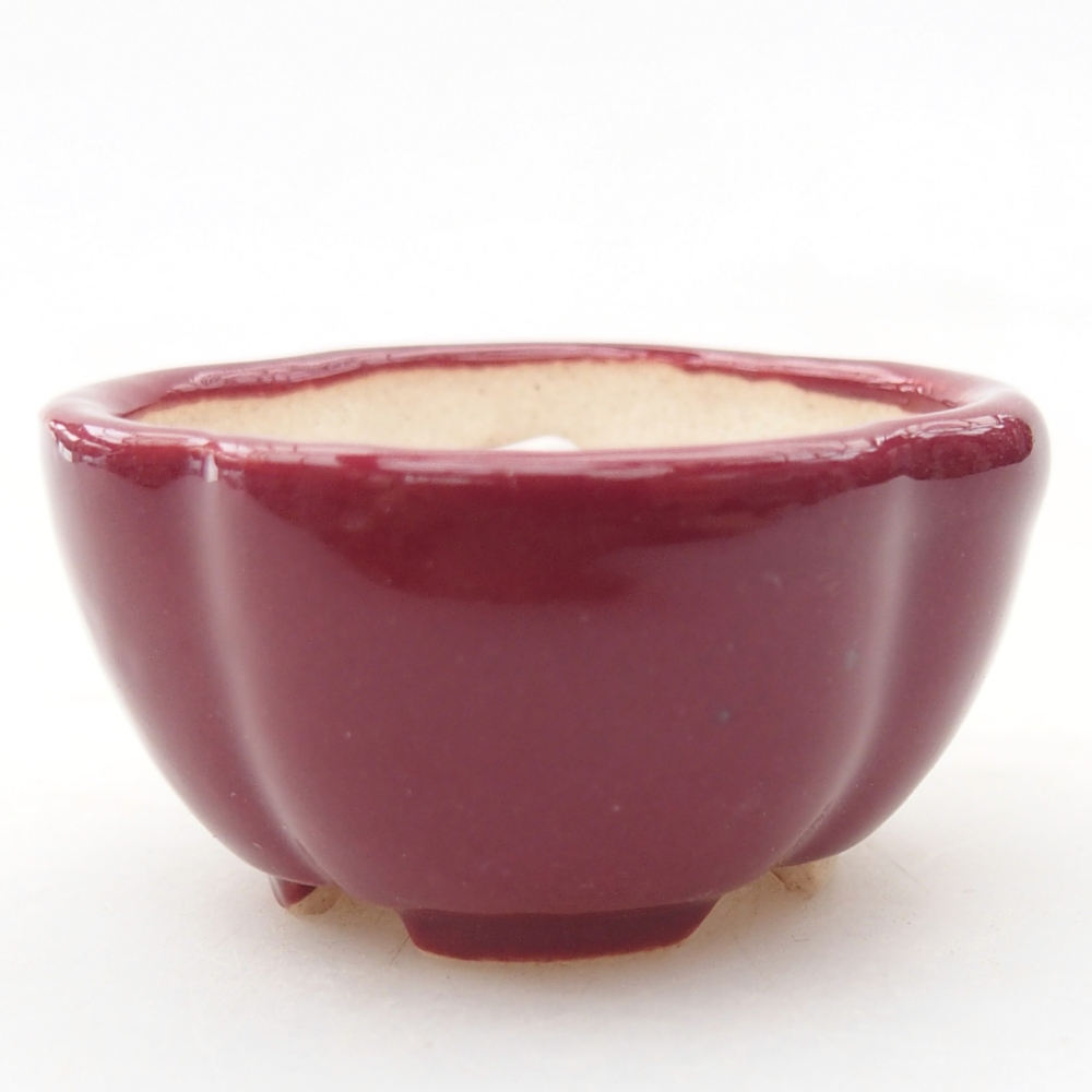 Mini bonsai bowl 4 x 4 x 2 cm, burgundy