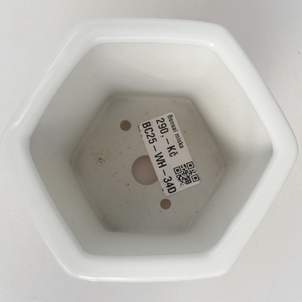 Ceramic bonsai bowl 10,5 x 9,5 x 9 cm, colour white