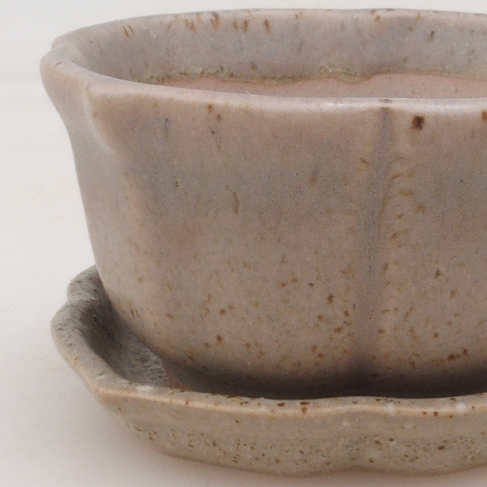 Bonsai bowl + saucer H95 - beige