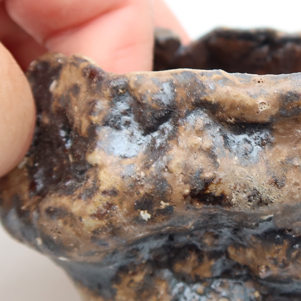 Ceramic Shell, 5.5 x 5.5 x 5 cm, brown