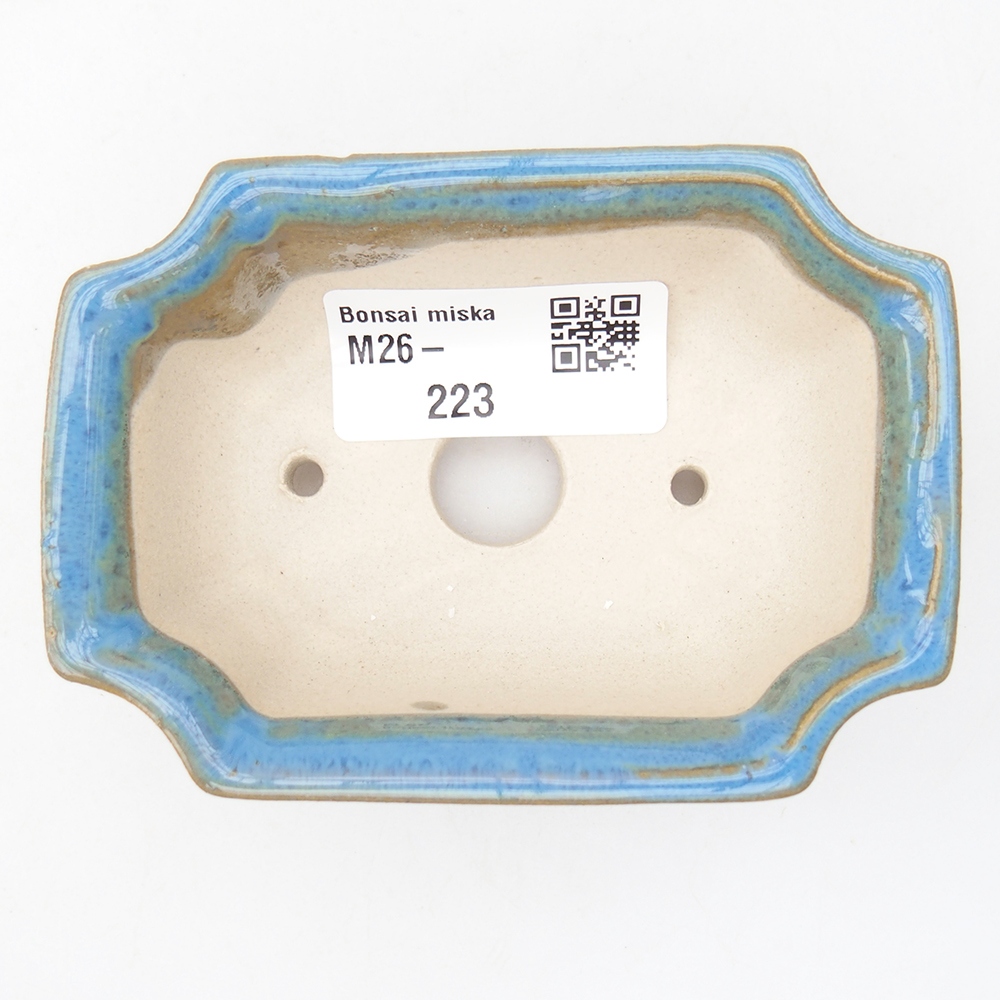 Mini bonsai bowl 9 x 6,5 x 3,5 cm, colour blue