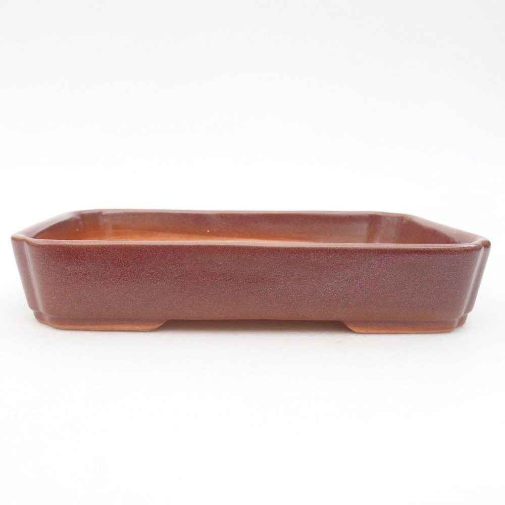 Ceramic bonsai bowl 18 x 13 x 3 cm, color burgundy