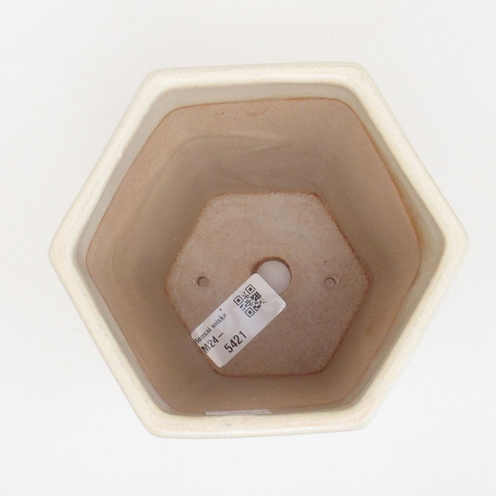 Ceramic bonsai bowl 12,5 x 11,5 x 16,5 cm, color beige