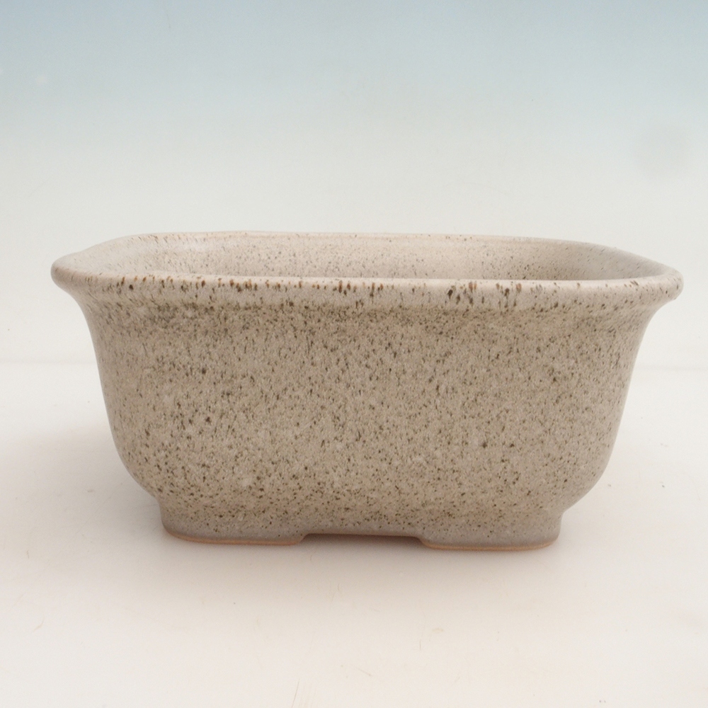 Bonsai bowl H36 - 17 x 15 x 7.5 cm. - beige