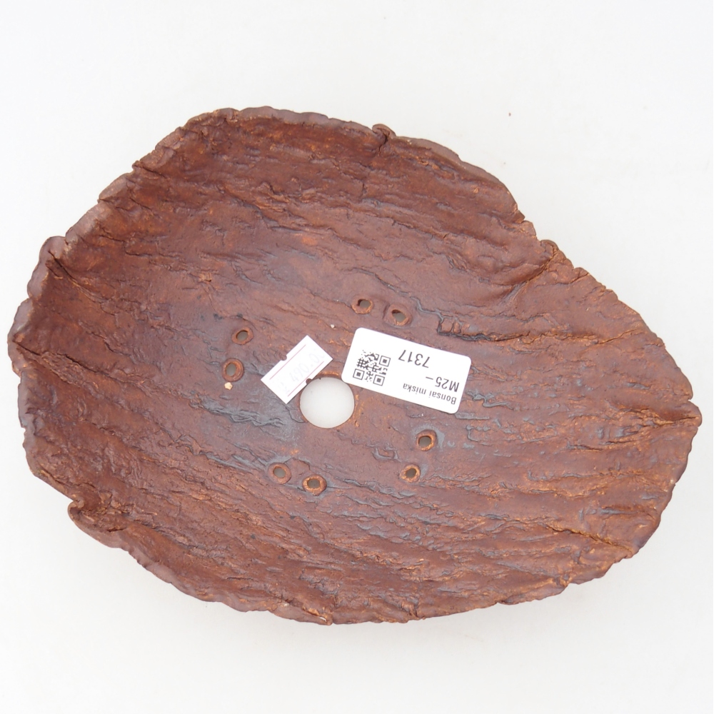 Ceramic shell 20 x 15 x 6 cm , colour brown