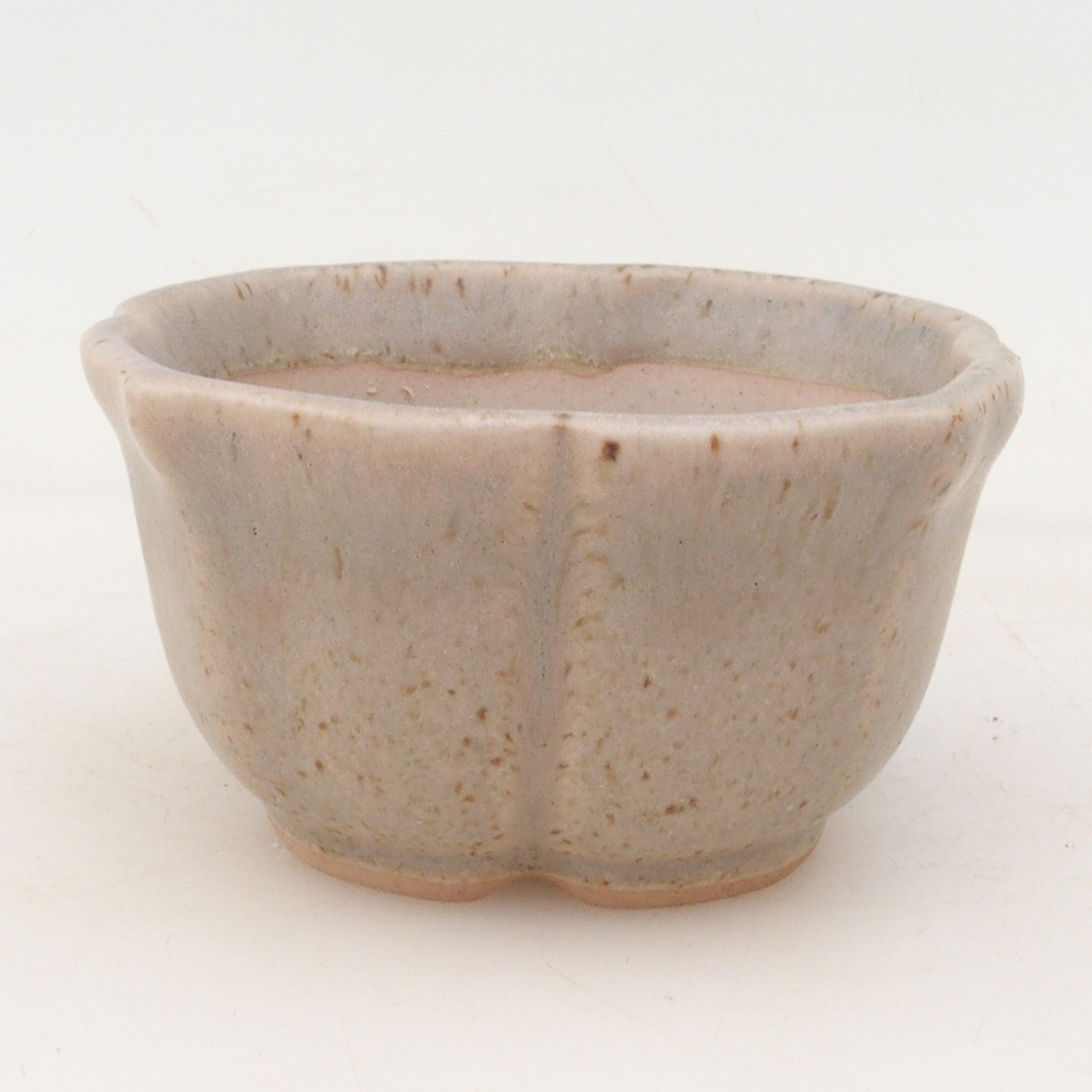 Bonsai bowl + saucer H95 - beige