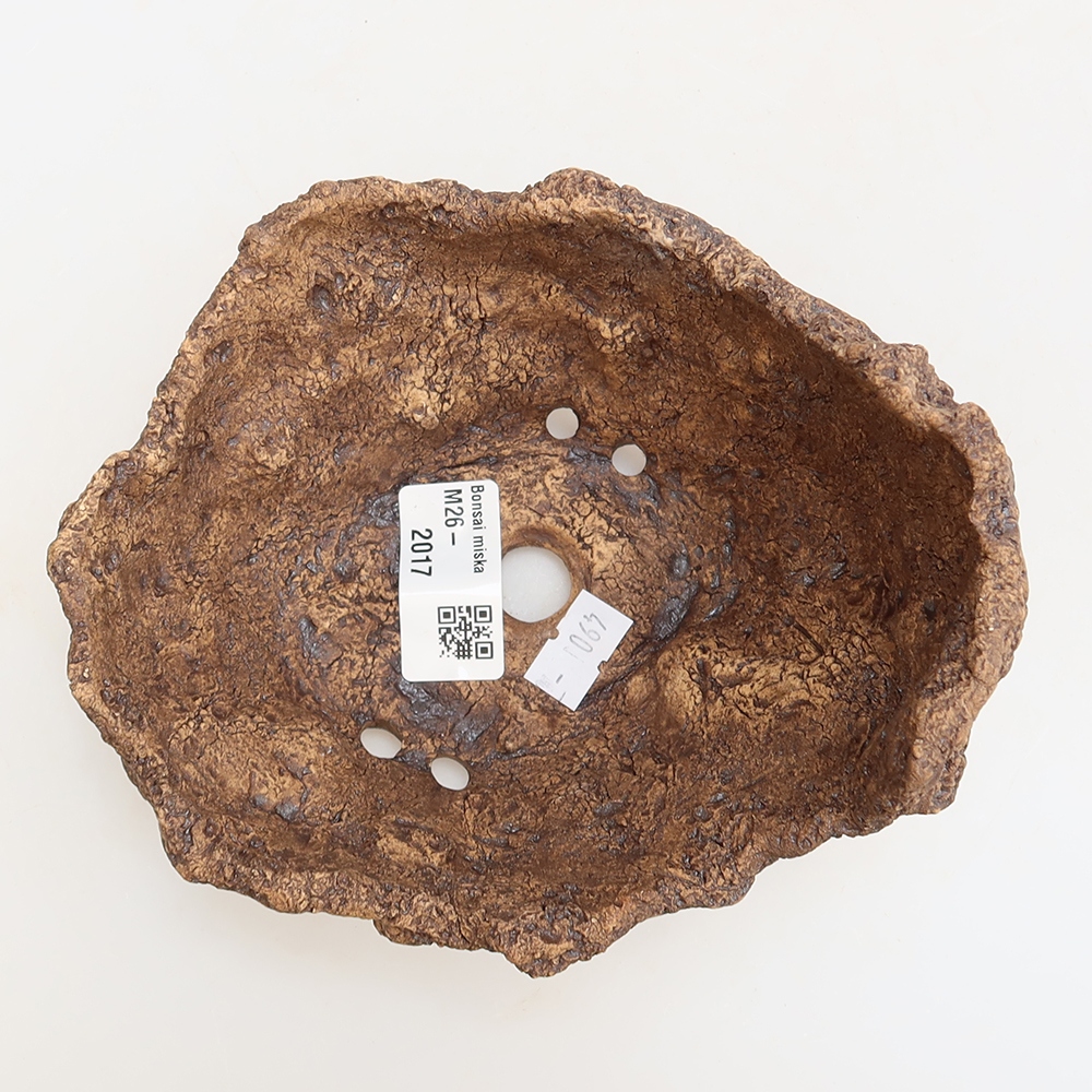 Ceramic Shell, 14.5 x 13 x 12 cm, brown