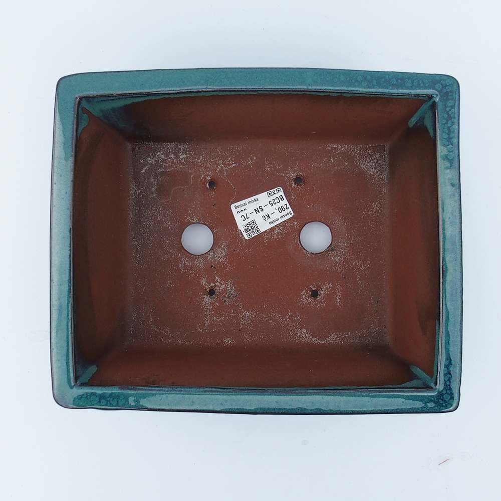 Bowl 26 x 21,5 x 10 cm blue-green