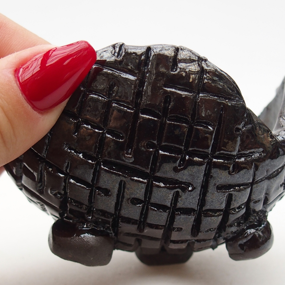 Ceramic Shell 9 x 9 x 6 cm , colour black