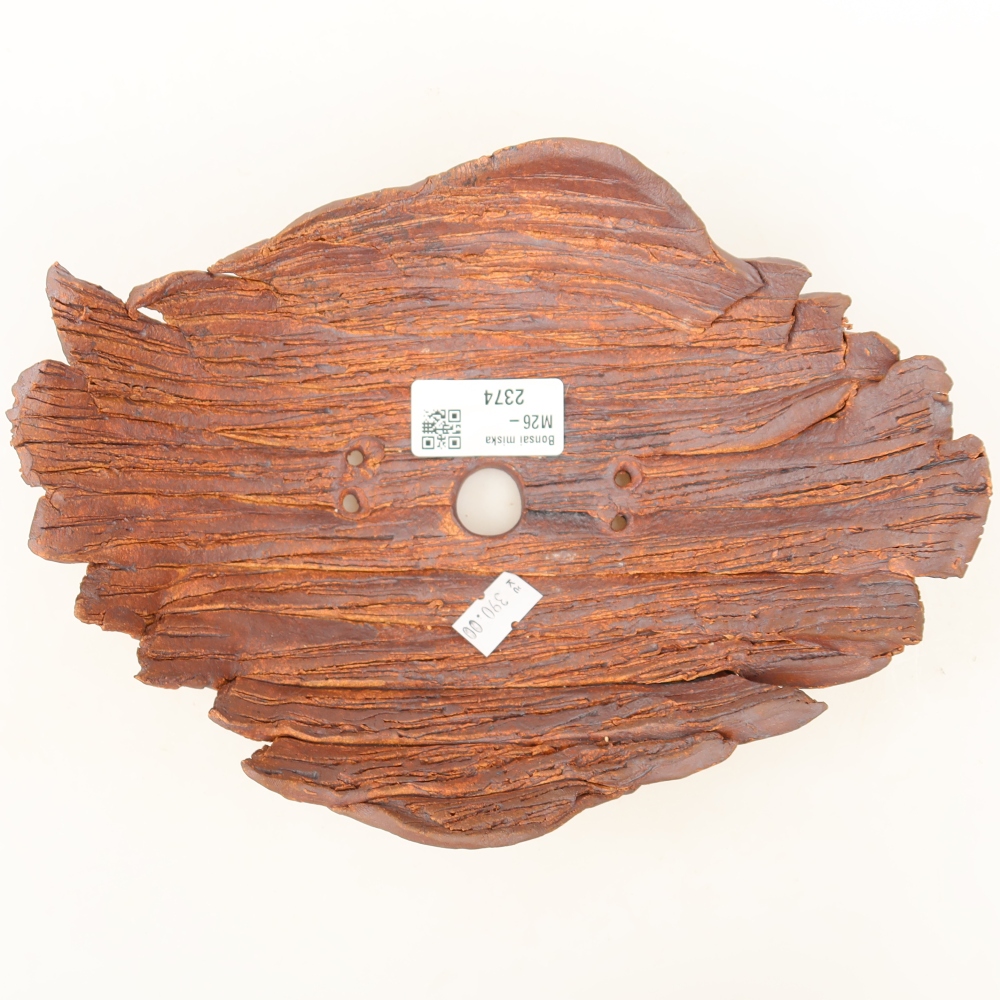 Ceramic Shell  21.5 x 16.5 x 8 cm, brown