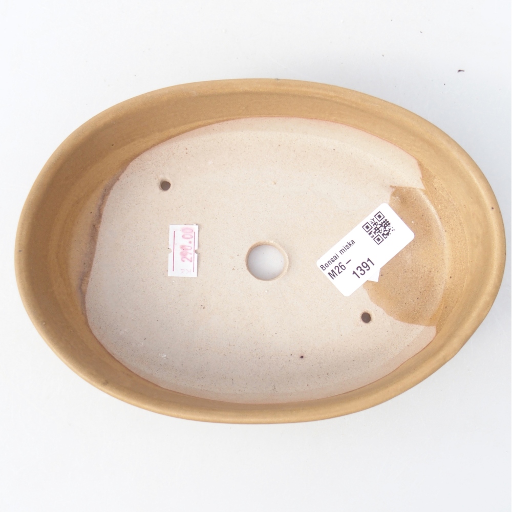 Ceramic bonsai bowl 18,5 x 13,5 x 4,5 cm, colour beige