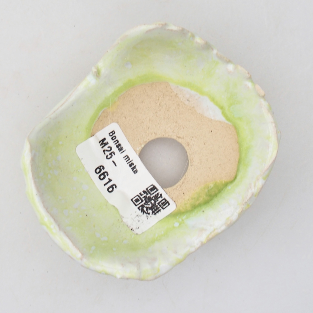 Ceramic Shell 8,5 x 7 x 4 cm , colour green