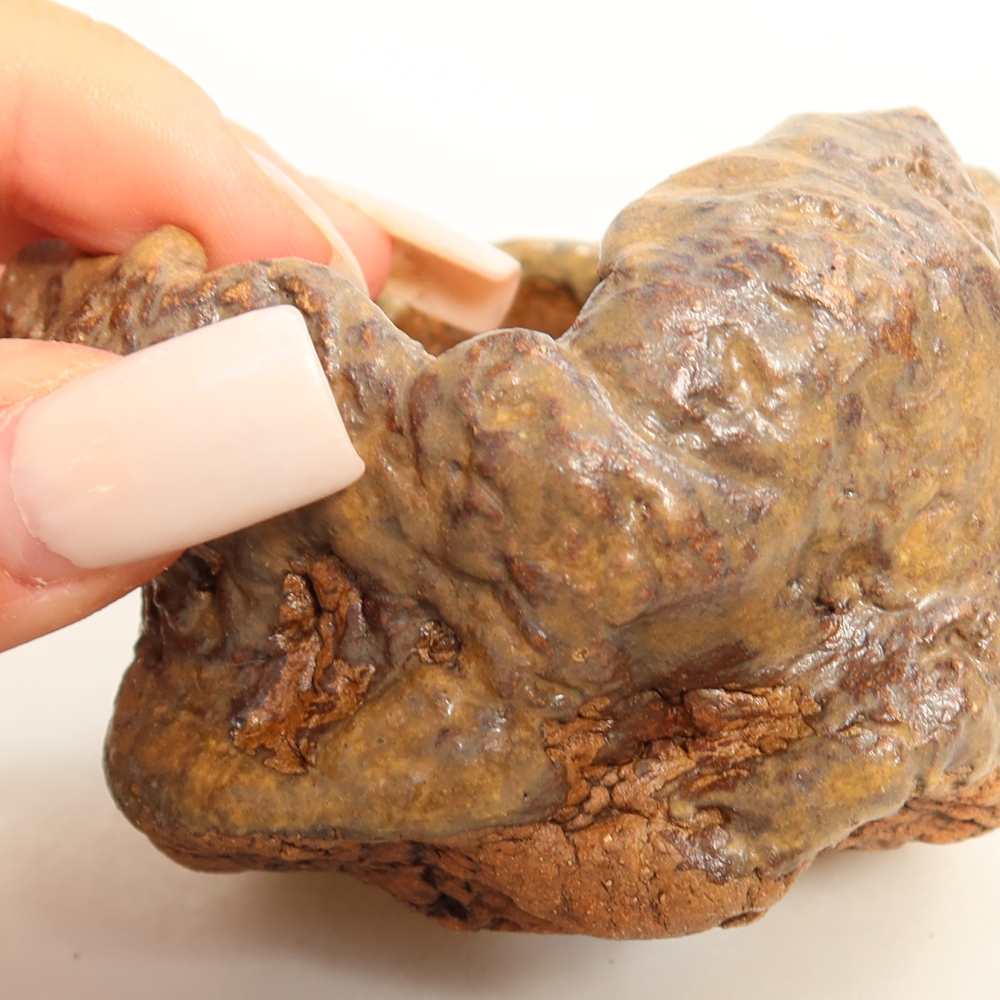 Ceramic Shell, 7.5 x 7.5 x 5.5 cm, brown
