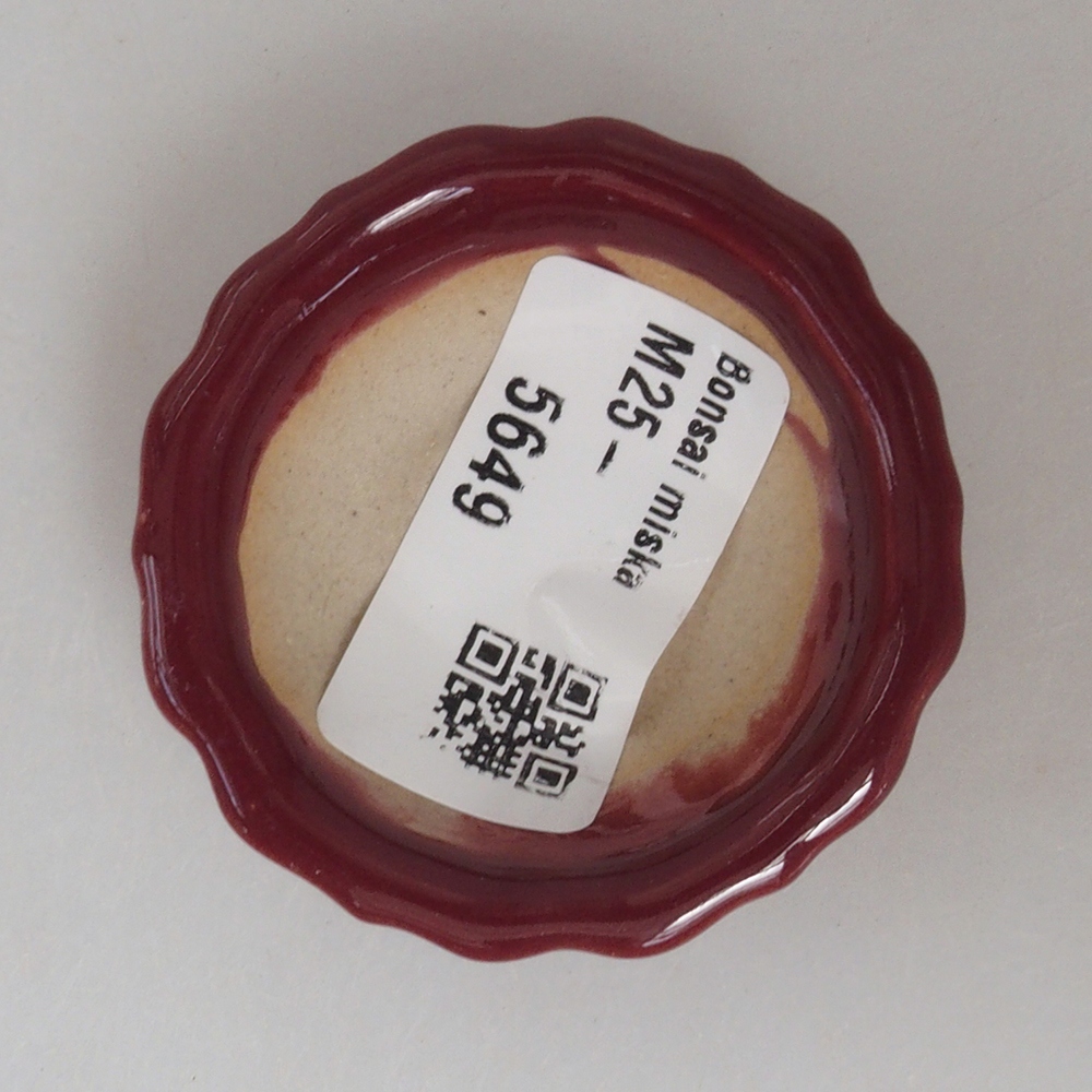 Mini bonsai bowl 5 x 5 x 1,5 cm, color burgundy