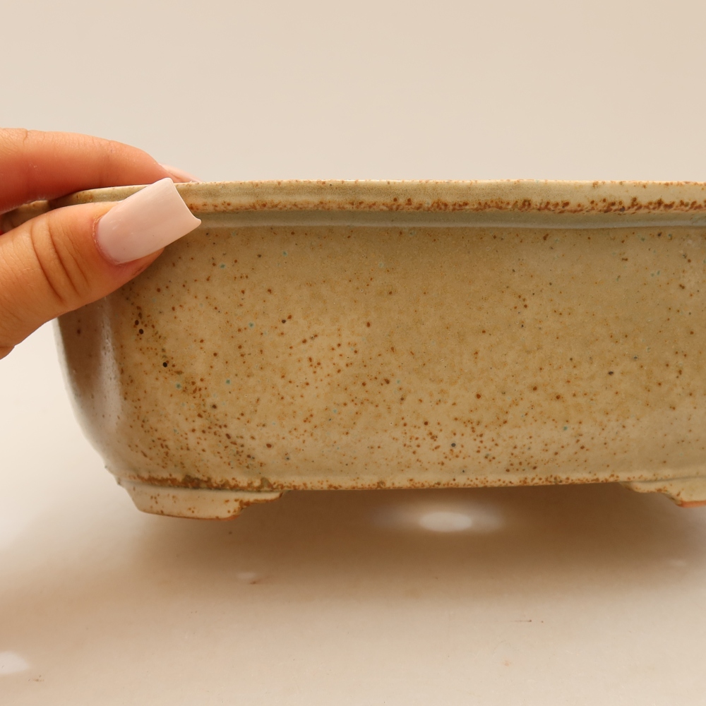 Ceramic bonsai pot, 22.5 x 17.5 x 7.5 cm, beige